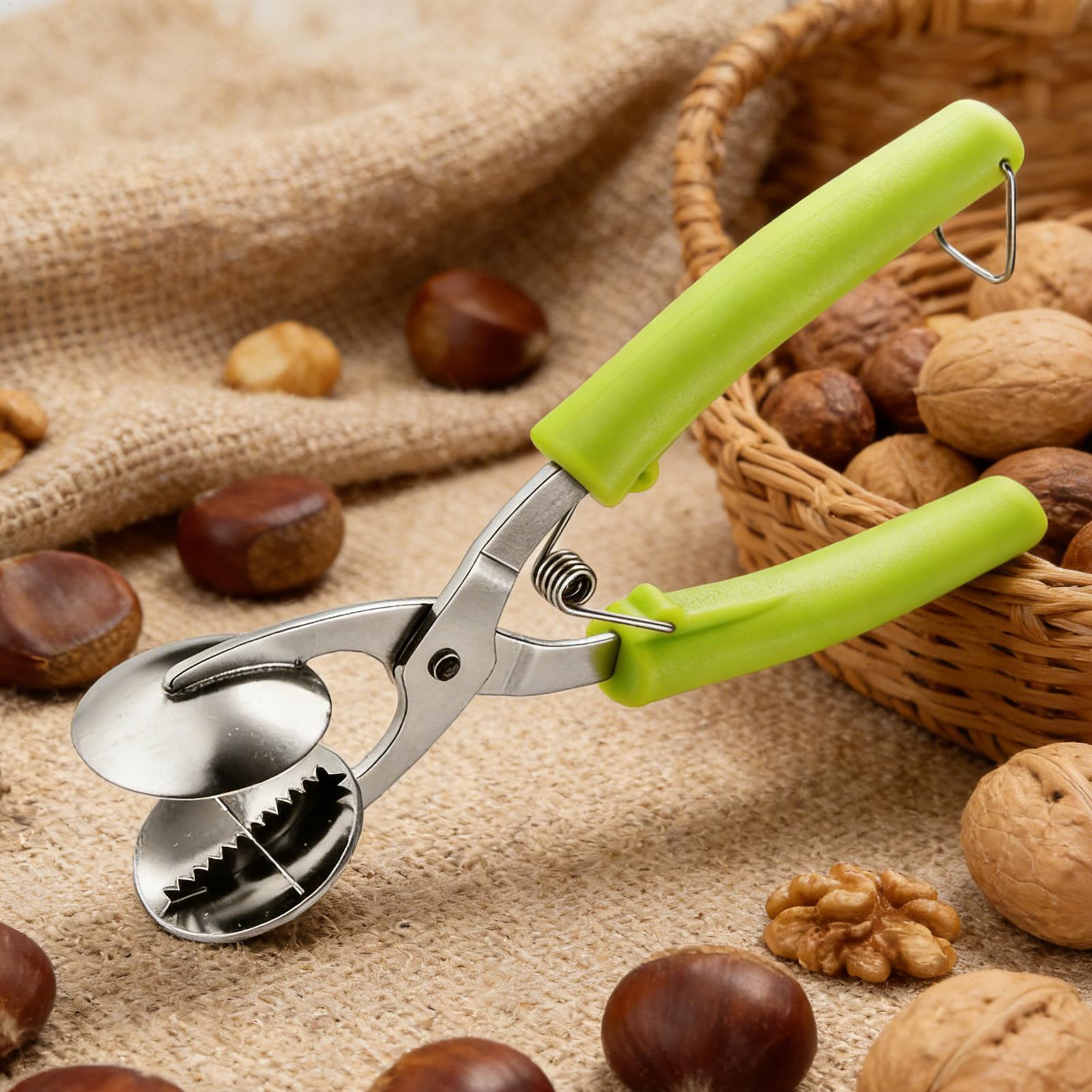 Stainless Chestnut Machine Kit - Kitchen Appliances Packages ulasan dan harga