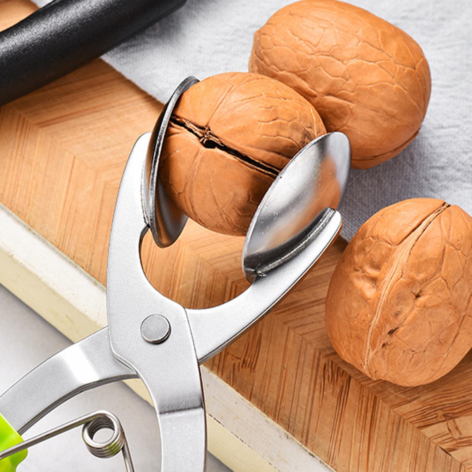 Stainless Chestnut Machine Kit - Kitchen Appliances Packages ulasan dan harga